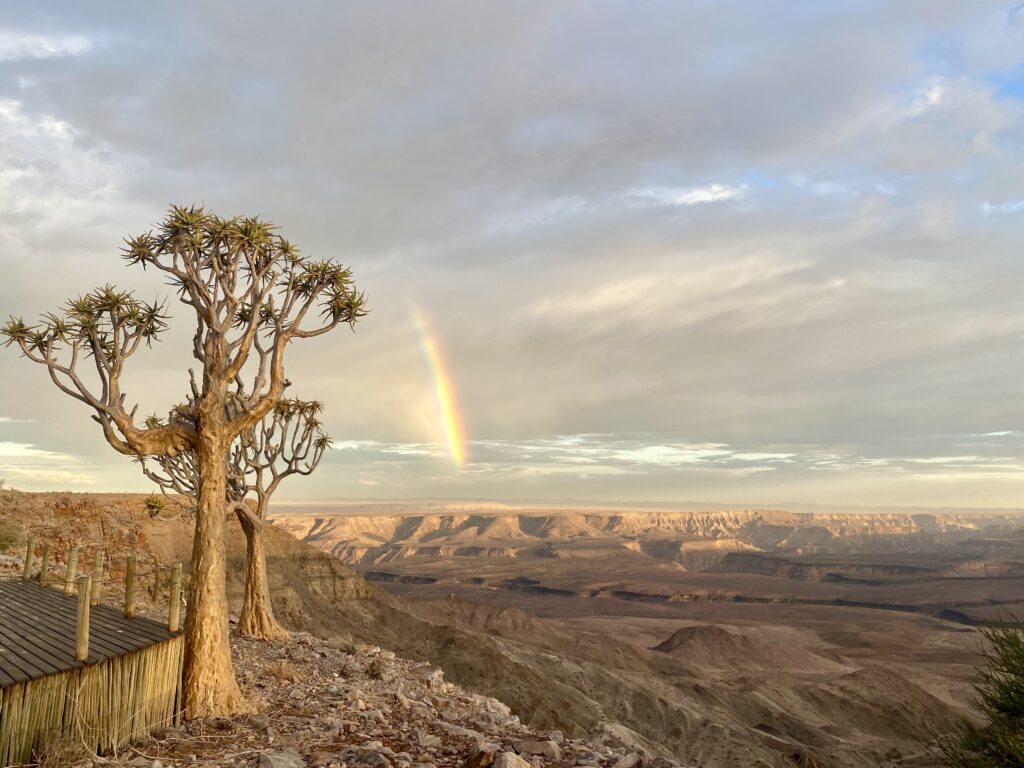 Title here. Can be removed